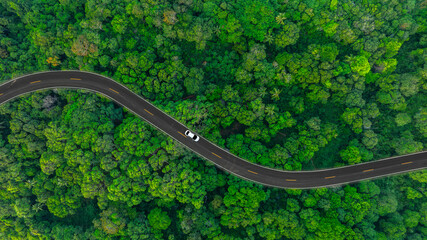 Fototapeta premium Aerial view of dark green forest road and white electric car Natural landscape and elevated roads Adventure travel and transportation and environmental protection concept 