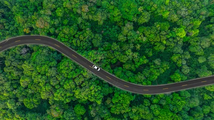 Ingelijste posters Groen Aerial view of dark green forest road and white electric car Natural landscape and elevated roads Adventure travel and transportation and environmental protection concept    © Media 