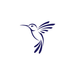 Hummingbird Logo Design Vector Icon