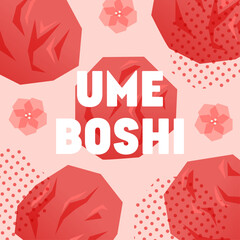 梅干しの抽象的なイラスト_スクエア