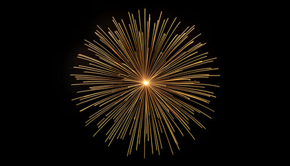 Elegant Golden Firework Burst on Black Background