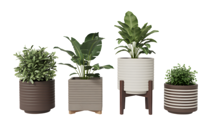 Collection of stylish indoor plants in decorative pots creating a fresh, modern aesthetic on a white background