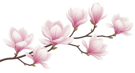 Fototapeta premium Delicate pink magnolia flowers on a branch