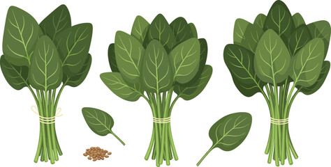 Set of Coffee Drinks in Cups and Glasses. Vector Illustration of Latte, Cappuccino, Mocha, and Frappe with Foam and Art.