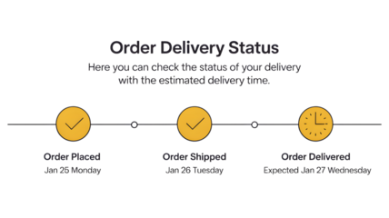 Visual infographic tracking order delivery status with placed, shipped, and delivered markers indicating process completion stages