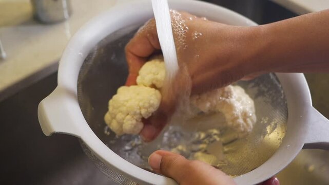 Washing homemade cheese in the kitchen sink