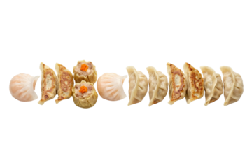 Assortment of delicious asian dumplings and dim sum including gyoza, siu mai, and steamed dumplings