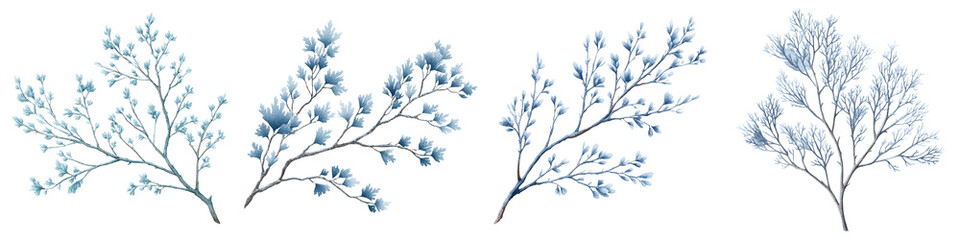 Obraz premium Delicate Blue Branches: Watercolor Floral Element Collection