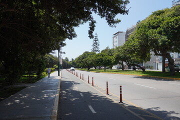 Urban street with trees and green surroundings
