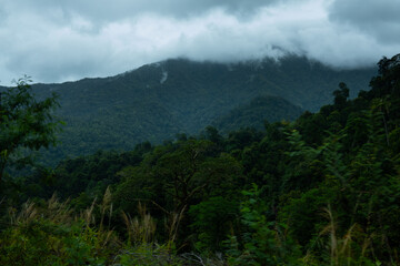 Dark and gloomy forest scenery on mountain layers landscape in Jantho, Aceh, Indonesia, with thick fog that limits visibility