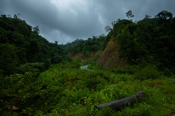 Dark and gloomy forest scenery on mountain layers landscape in Jantho, Aceh, Indonesia, with thick fog that limits visibility