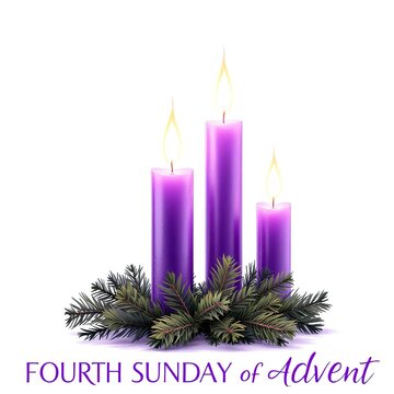 Three burning purple advent candles rest upon green pine branches against a clean on white background