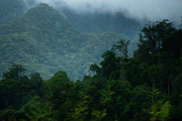Dark and gloomy forest scenery on mountain layers landscape in Jantho, Aceh, Indonesia, with thick fog that limits visibility