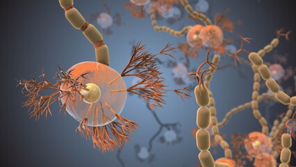 Neural Cell Network Concept Shown in Medical Video