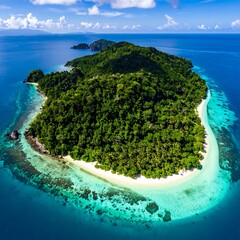 Aerial view of a lush green tropical island surrounded by clear turquoise waters