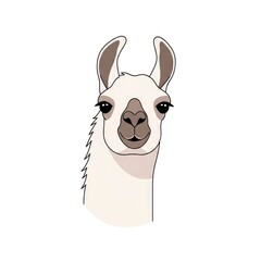 Obraz premium Cute Llama Head Portrait Illustration on White Background.