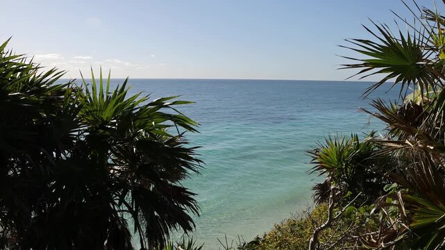 stunning beach view with palm trees (tropical palms) at tulum mexico (seaside historic mayan ruin site with temple pyramid on the coast) coastal travel paradise caribbean sea yucatan penisula palms 