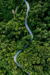 Top view road in beautiful autumn forest at sunset, trees with red and orange leaves ,Aerial view of a road in the middle of the forest , road curve construction up to mountain
