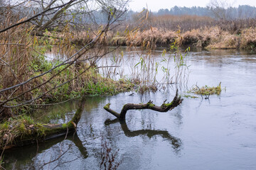 autumn river landscape