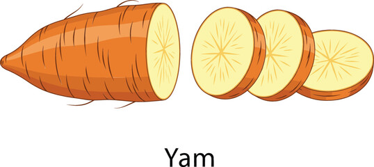 Appetizing vector illustration of a freshly cut, whole brown yam tuber, displaying its orange flesh and three perfect, nutritious slices, isolated against a simple white background.