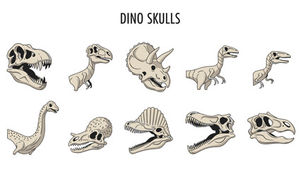 Illustration of ten cartoon dinosaur skulls and partial skeletons titled DINO SKULLS © Faisal