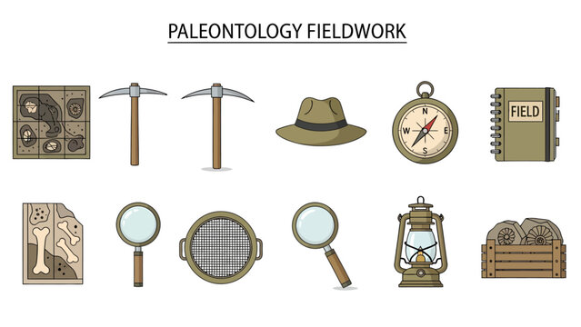 Paleontology fieldwork tools and finds displayed in two rows