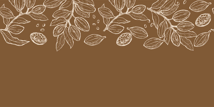 Cocoa branches and pods in engraving linear style for food background. Seamless floral border outline on brown backdrop. Chocolate or cacao design.