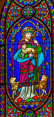 Jesus Lamb Sheep Stained Glass St Patrick's Cathedral Dublin Ireland