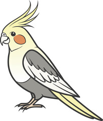 Cute parrot Bird Vector