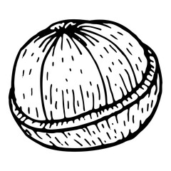 Mangosteen half fruit illustration. Tropical cut half with white pulp, isolated sketch, natural organic Asian ingredient, healthy summer food art for cosmetic products, food designs.