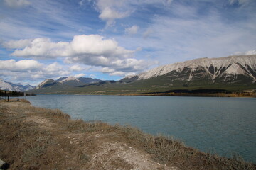 Autumn Along Lake Abraham, Nordegg, Alberta