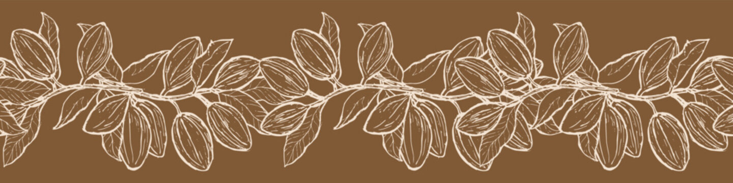 Cacao border outline on dark background. Cocoa plant with fruits and leaves. Brown vintage design in linear sketch. Ink engraving illustration of cacao plants.