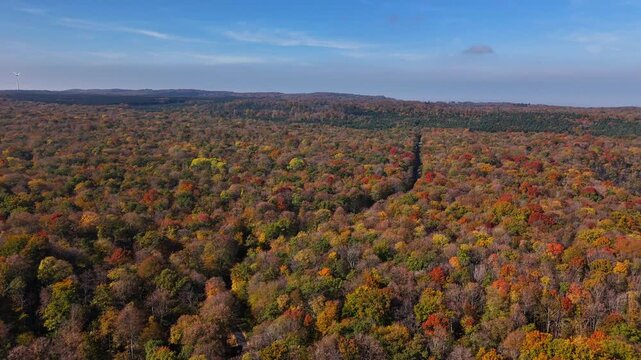 Mixed beech&ndash;spruce woodland of the Sixt‑Fer‑&agrave;‑Cheval Passy nature reserve near Cirque du Fer‑&agrave;‑Cheval in Haute‑Savoie, France, showing an endless canopy of autumn colours cut by straight forest track