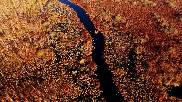 Morning sun reveals winding water path through untouched Vecslocene marsh