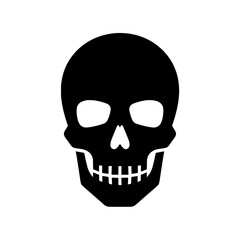 Fototapeta premium human skull vector illustration