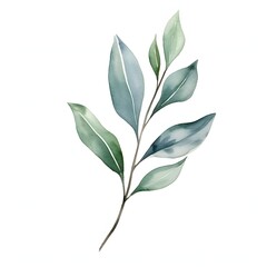 Watercolor illustration of a green leafy branch on a white background