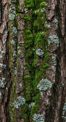 Obraz premium A detailed macro shot revealing the intricate textures of deeply aged, weathered tree bark covered in vibrant green moss and gray-white lichen patches ,aged ,longevity ,worn