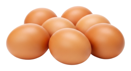 Gathering fresh eggs farmyard food natural light isolated on transparent background