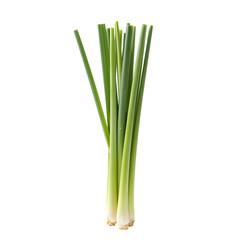 Obraz premium Fresh Green Lemongrass Stalks With White Base