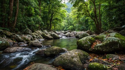 Lush Green Forest River with Mossy Rocks, Serene Landscape, and Flowing Water
