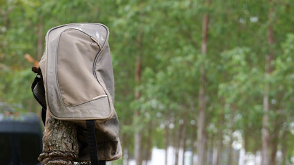 Backpack on a Log Surrounded by Green Trees in Nature, Outdoor Adventure Scene