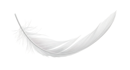 Single white feather with black accents on dark background