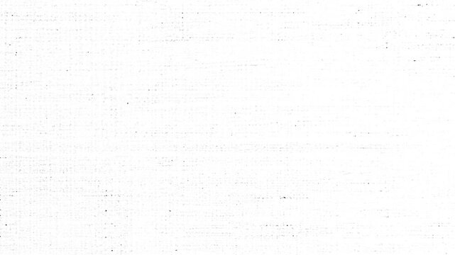 White Grunge Texture Overlay Background  Animated abstract white dust, noise, and canvas surface texture. Vintage film scratch overlay for motion graphics and video editing.