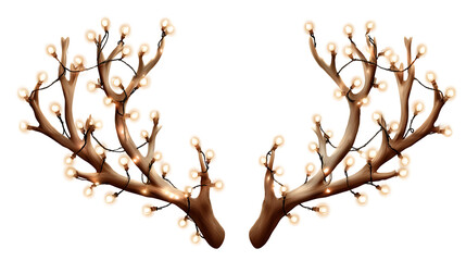 tree branches silhouette on white background