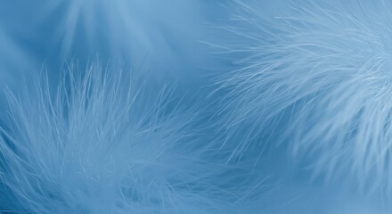 Obraz premium A beautiful light blue soft texture background featuring delicate, fluffy fibers resembling the soft structure of feathers ,aesthetic ,ethereal ,winter color
