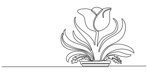 Three tulips on stems in continuous one line art style. Flower bouquet sketch with editable black stroke on white background. Vector illustration.