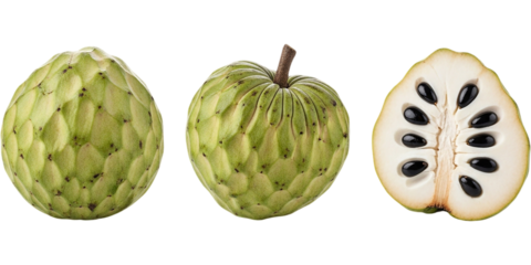 Fresh green custard apple fruit displayed whole and in detailed cross section revealing creamy white flesh and glossy black seeds perfect for tropical food concepts botanical study and premium stock i
