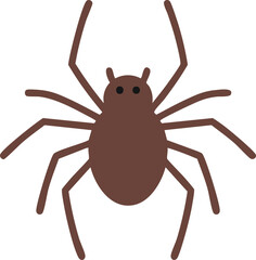 spider isolated on white