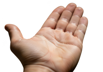 Open human palm isolated on transparent background