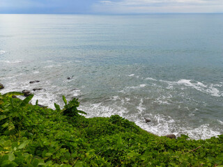 A high-angle view of dense green coastal vegetation growing over cliffs near the sea, capturing the natural beauty of the Black Sea coast in Kobuleti, Georgia.